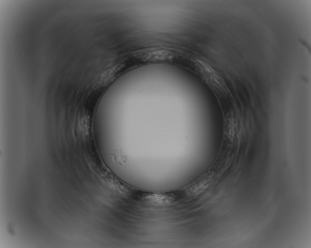 X0000097800326200803281041