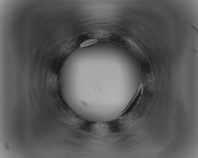 X0000097800327200803281041