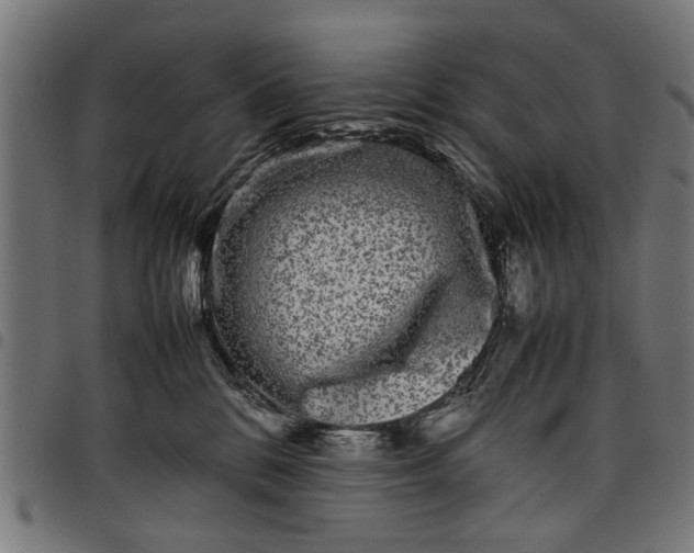 X0000097800328200803281041