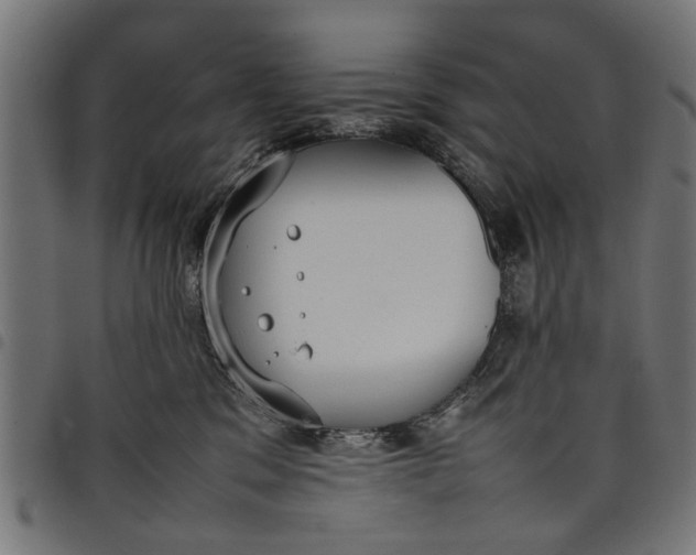 X0000097800329200803281041