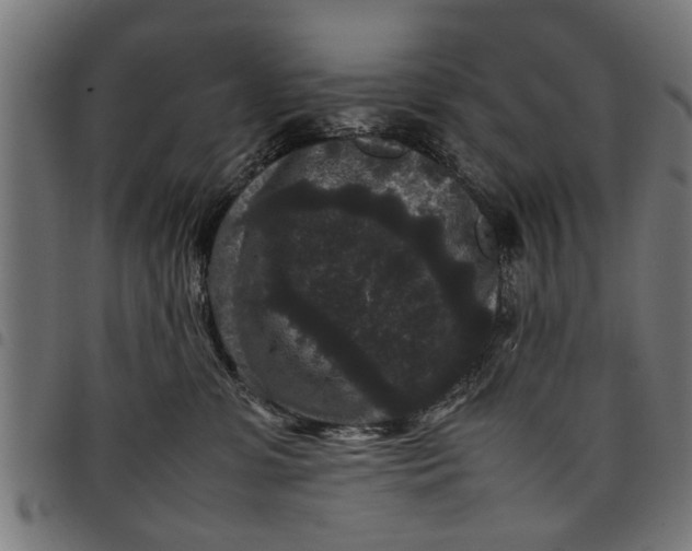 X0000097800331200803281041