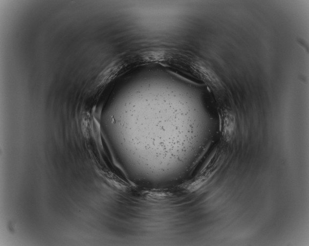 X0000097800332200803281041