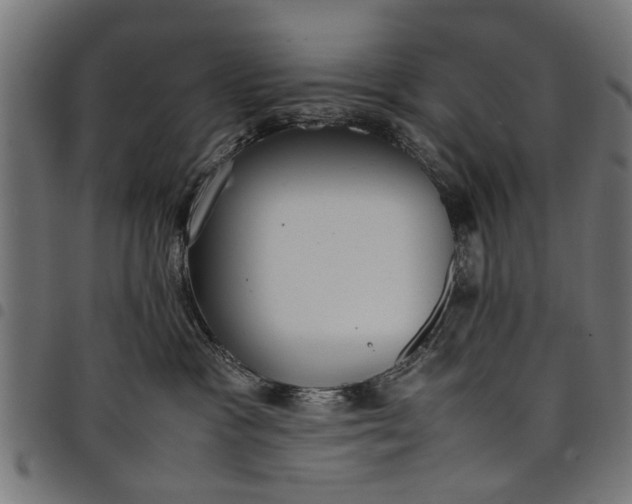 X0000097800333200803281041