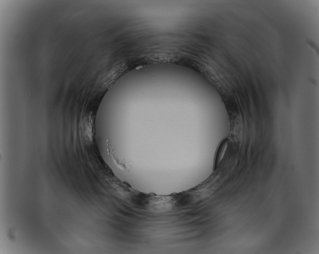 X0000097800334200803281041