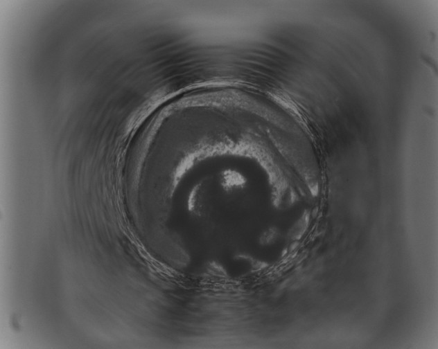 X0000097800337200803281040