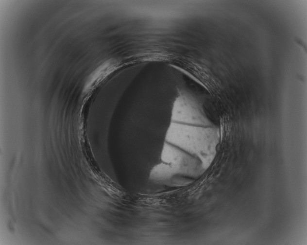 X0000097800339200803281040