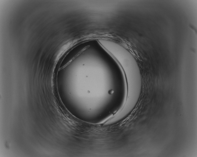 X0000097800340200803281040