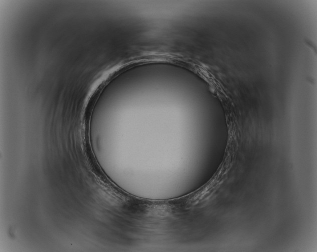 X0000097800342200803281040