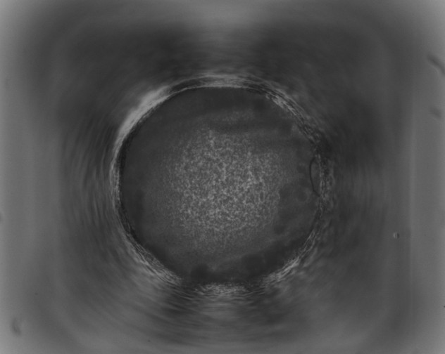 X0000097800343200803281040