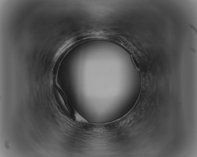 X0000097800344200803281040