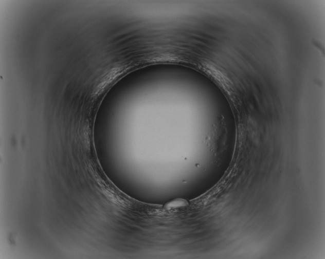 X0000097800345200803281040