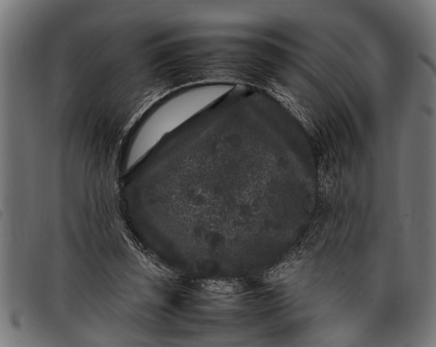 X0000097800347200803281040