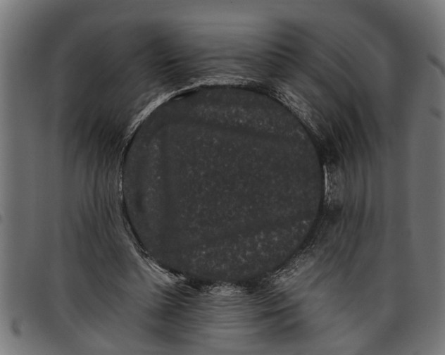 X0000097800348200803281040