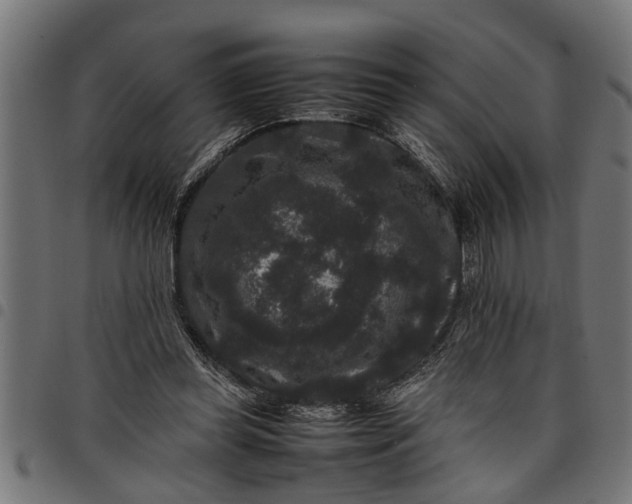 X0000097800349200803281040