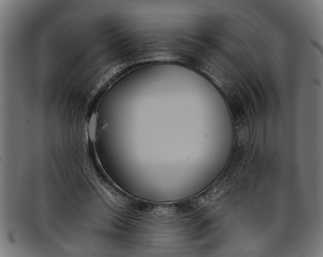 X0000097800350200803281040