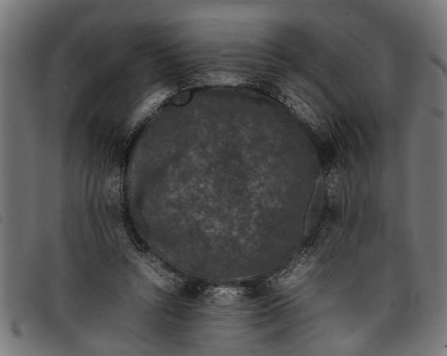 X0000097800352200803281040