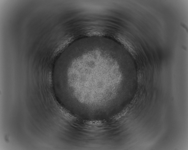 X0000097800353200803281040