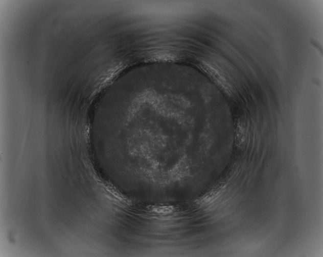 X0000097800355200803281040