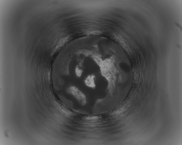 X0000097800357200803281040