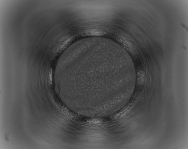 X0000097800358200803281040