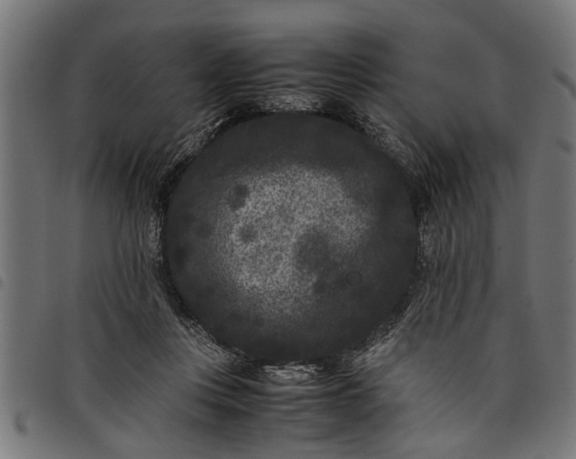 X0000097800359200803281040