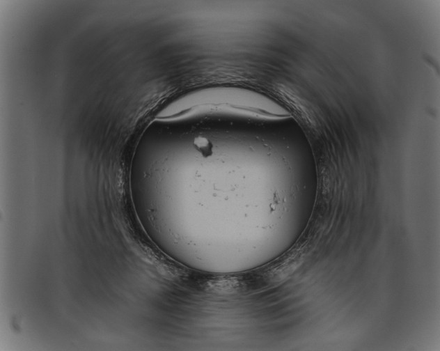 X0000097800362200803281040