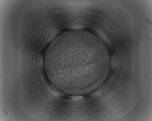 X0000097800363200803281040