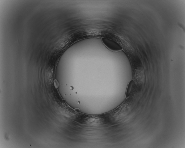 X0000097800364200803281040