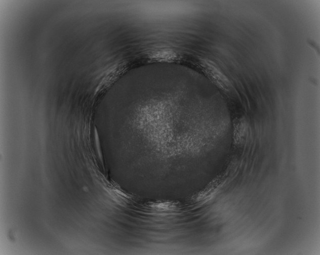 X0000097800365200803281040