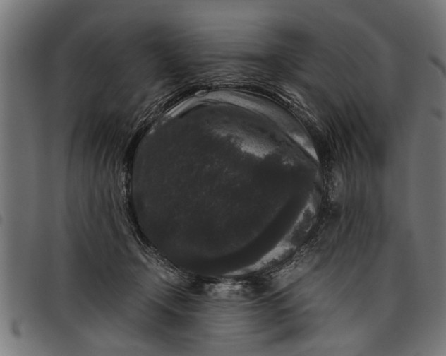 X0000097800366200803281040