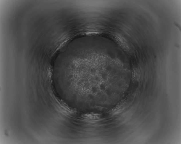 X0000097800367200803281040