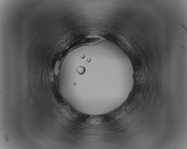 X0000097800368200803281040