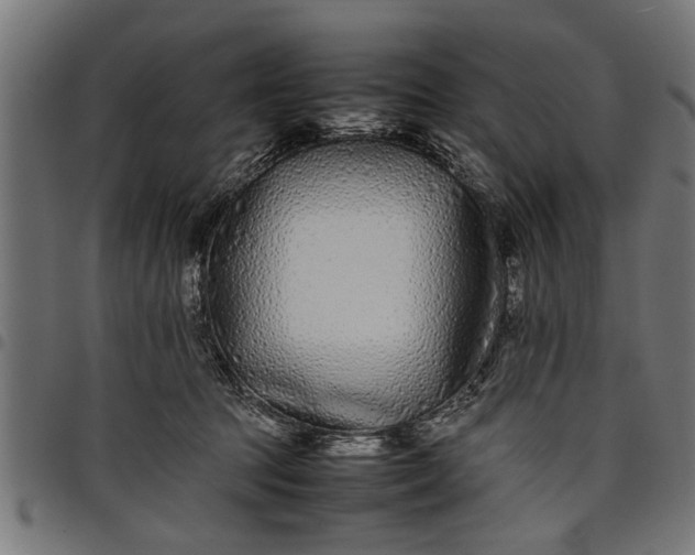 X0000097800369200803281040