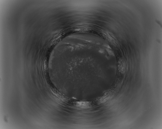 X0000097800371200803281040