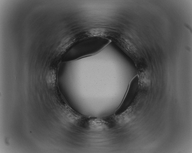 X0000097800372200803281040