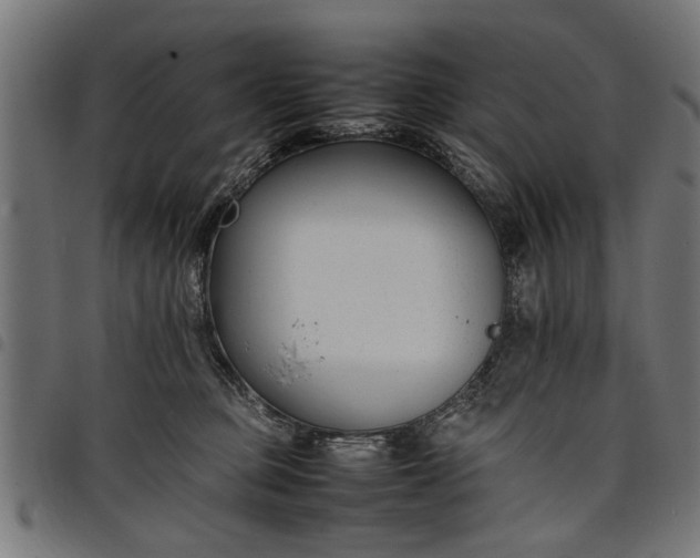 X0000097800373200803281040