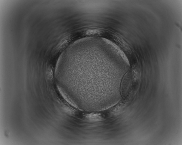 X0000097800375200803281040