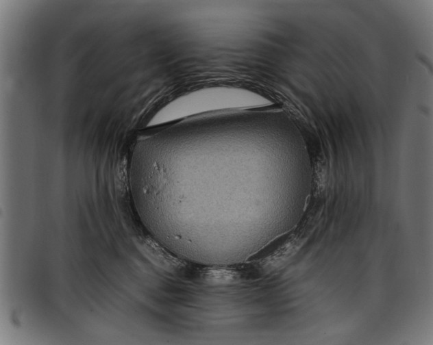 X0000097800376200803281040