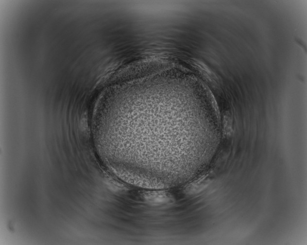 X0000097800377200803281040