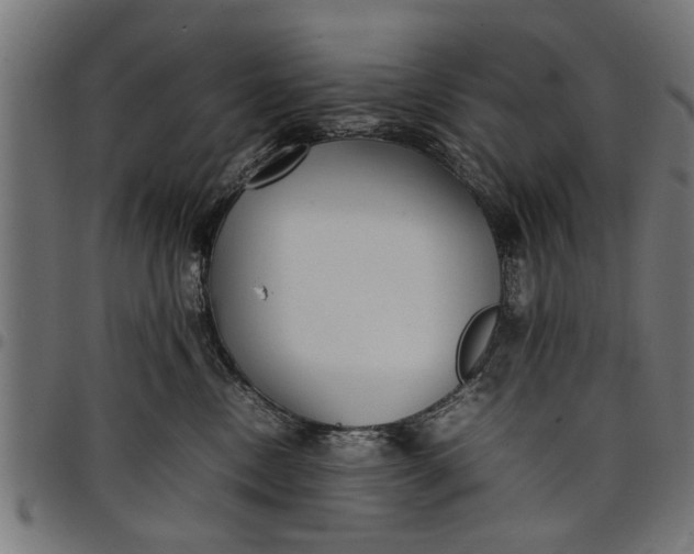 X0000097800378200803281040