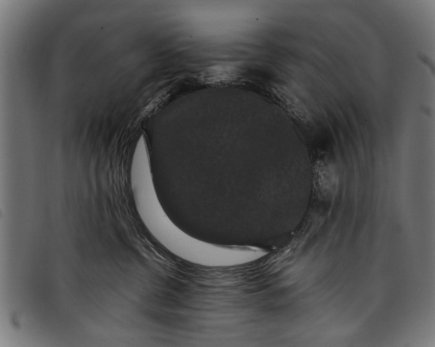 X0000097800380200803281040