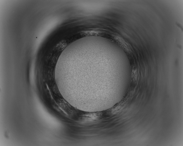 X0000097800381200803281040