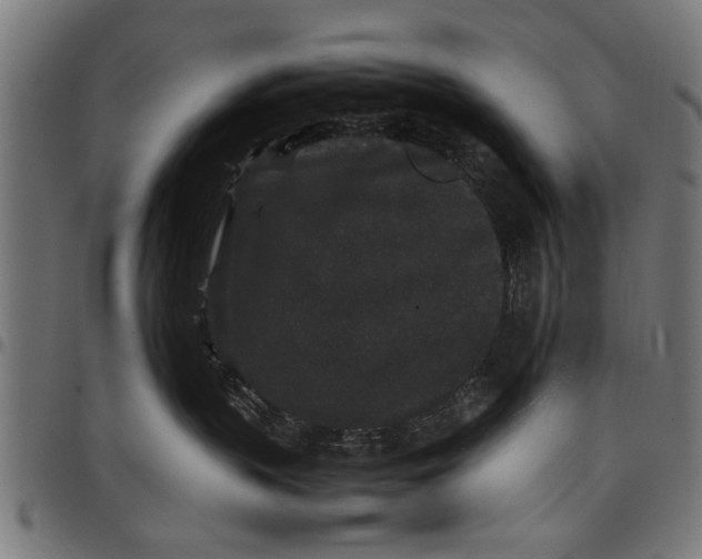 X0000097800383200803281041