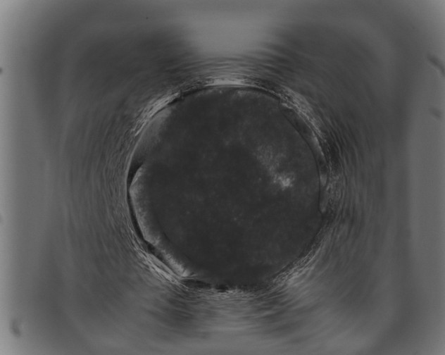 X0000097800385200803281040