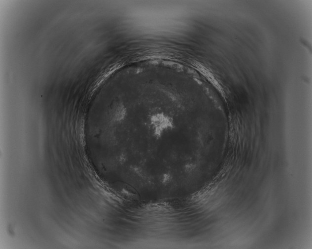 X0000097800386200803281040