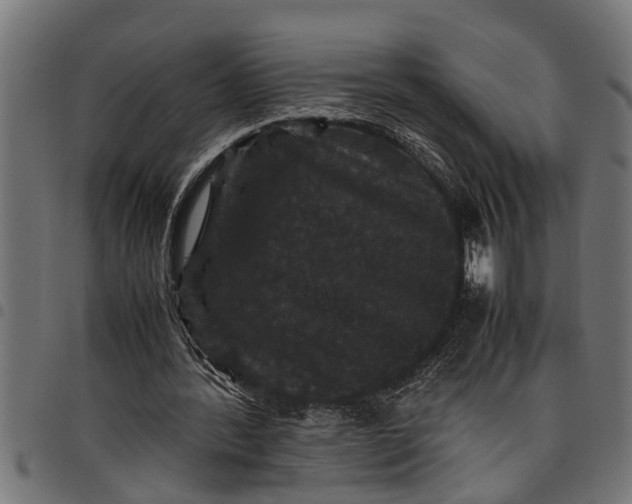 X0000097800388200803281040