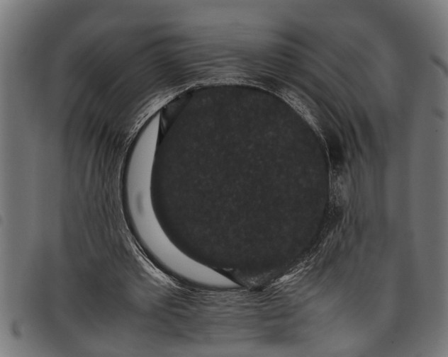 X0000097800389200803281040