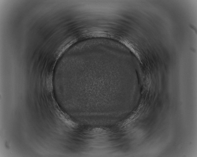 X0000097800390200803281040