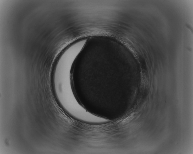 X0000097800391200803281040