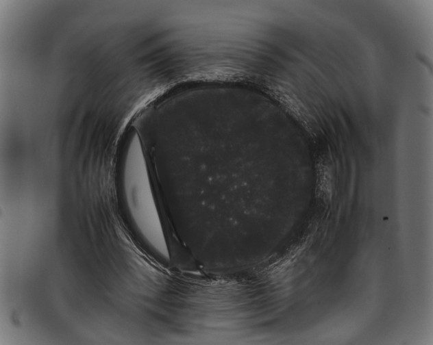 X0000097800392200803281040